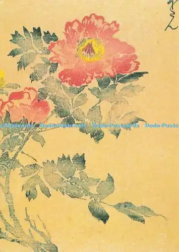 D184829 Rosa Blumen. Camden Grafik. Victoria and Albert Museum. Massayoshi Ke