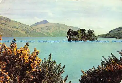 D183491 Ben Lomond aus Inveruglas. Millar und Lang. Nationale Serie. W. S. Thom