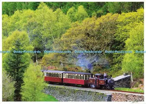 D188175 Ffestiniog Eisenbahn. Merddin Emrys bei Tank Curve. Dave Newbould