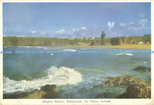 D188206 Irland. Co. Kerry. Ballybunion. Atlantic Rollers. Cardall. 1965