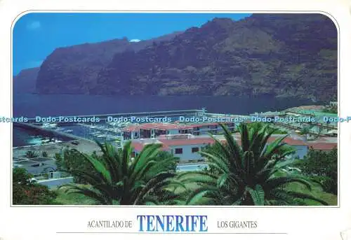 D188251 Teneriffa. Acantilado de los Gigantes. Dasper. D Avlis