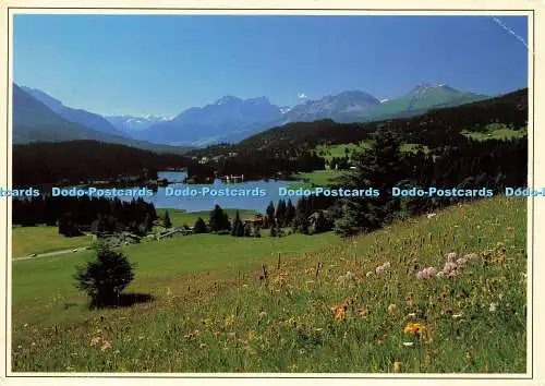 D183640 Lenzerheide. Parklandschaft mit den Oberhalbsteiner Bergen Piz Forbesch.