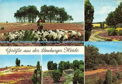 D189912 Grusse aus der Lüneburger Heide. Krüger. Multi View