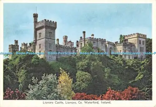 D188280 Irland. Co. Waterford. Lismore. Schloss Lismore. Cardall