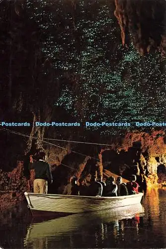 D185098 Neuseeland. Glühwürmchengrotte. Waitomo Caves. Colourview Publikationen