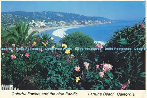 D188296 California. Laguna Beach. Farbe Blumen und den blauen Pazifik. Kontinent