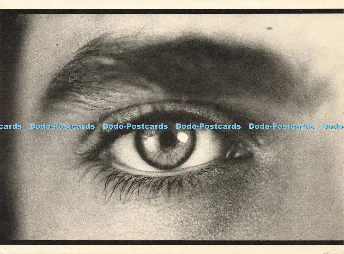 「das deutsche auge」 Antike deutsche Augenprothetik aus Glas im Original Hellbach