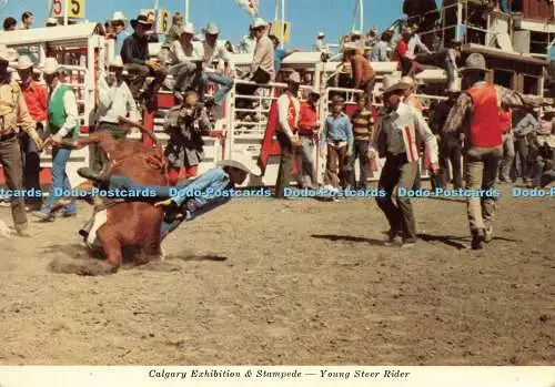 D189993 Kanada. Alberta. Calgary Ausstellung und Stampede. Junger Lenkfahrer. Uni