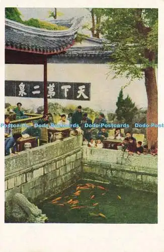 D186925 Japan. Cafe. Pool mit Fischen