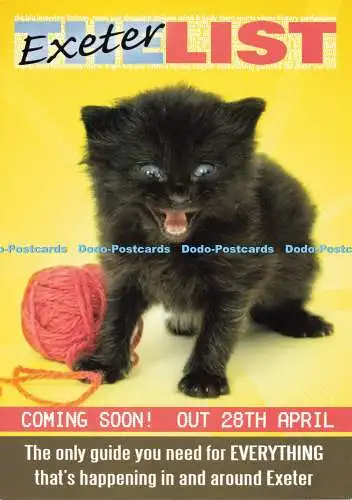 D186933 Spannende Neuigkeiten. Liste überschreiten. Black Kitten