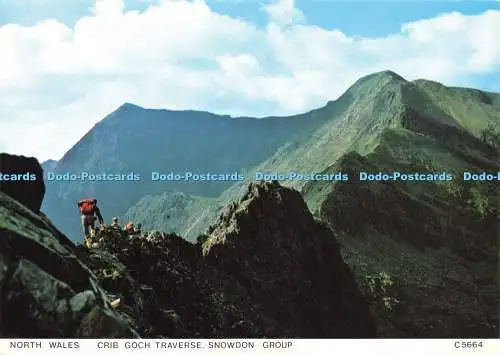 D190159 Nordwales. Krippe Goch Traverse. Snowdon Group. Richter. C 5664