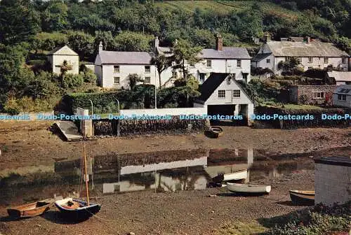 D190199 Cornwall. Helford. Unzählige Bäume. Hängende Gärten und der viele Bach