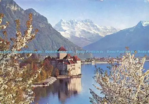 D190272 Schloss von Chillon und Dents du Midi im April. Office du Tourisme. J. Sch