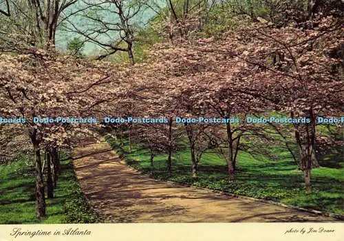 D190362 Springtime in Atlanta. Luftaufnahmen. Dexter Press. Jim Do