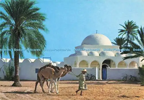 D187451 Djerba. Die Moschee von Mahlboubine. Kahia