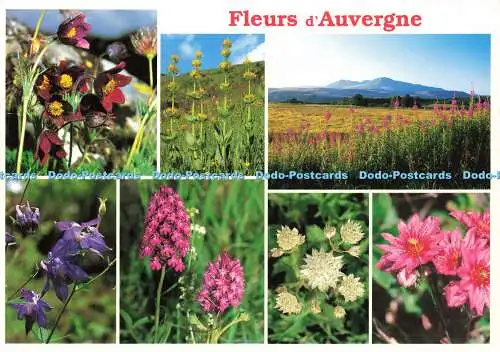 D190569 Fleurs dAuvergne. 2012. Edition Debaisieux. Imprimvert. Multi View