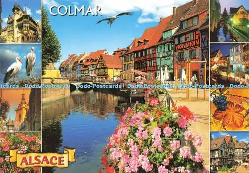 D190570 Colmar. Elsass. Au Pays Des Cigognes. Haut Rhin. Allianz. Valoire Estel