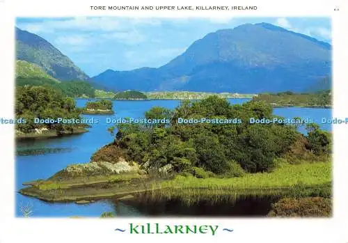 D187463 Killarney. Irland. Tore Mountain und Upper Lake. Mac Publikationen. 1998