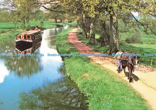 D188912 Boot Pferd Kapitän. mit Passenger Wide Boat Tivertonian. Grand Western