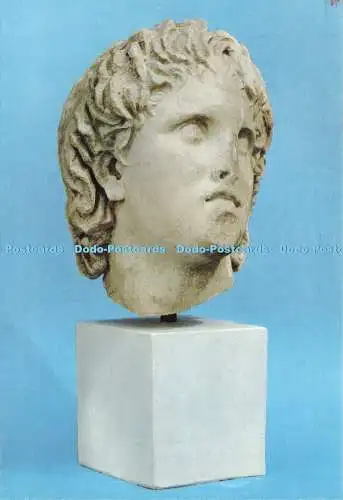 D185759 Pella. Museum. Kopf Alexanders des Großen. 3. Cent. b. c. Sterghiopou