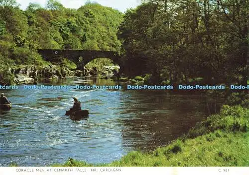 D187500 Coracle Men at Cenarth Falls. Nr. Strickjacke. Richter. C 981