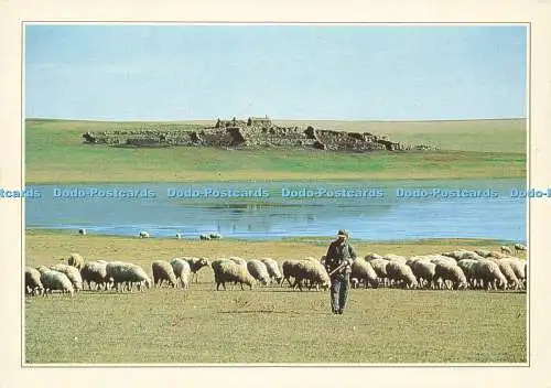 D188954 Mongolie Exterieure. La Steppe. Edito Service S.A. Suzanne Held