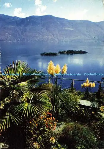 D185773 Ronco s. Ascona. Lago Maggiore. Vista Sulle Isole di Brissago. Pancaldi.