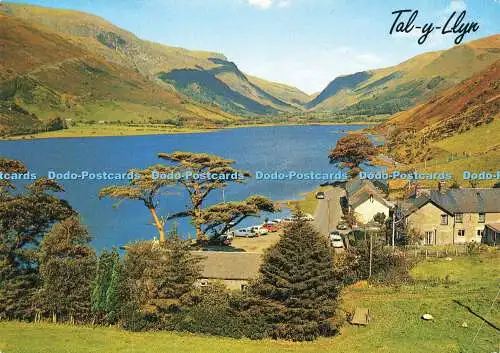 D190684 Tal y Llyn Lake. Lachs