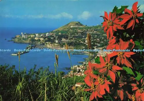 D189160 Madeira. Funchal. Western View. Hans Huber