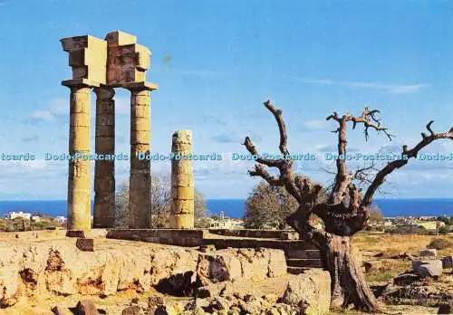 D190837 Rhodos. Apollontempel. Griechenland