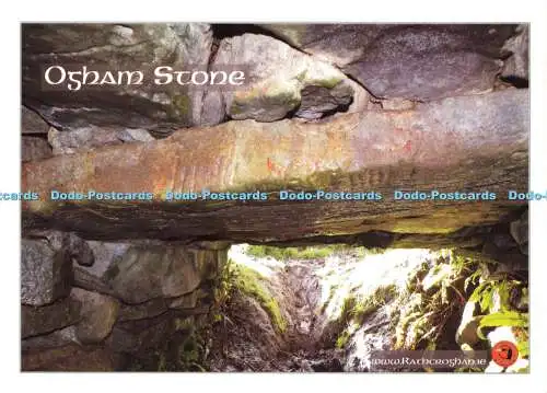 D189177 Ogham Stone. Gary Oempsey