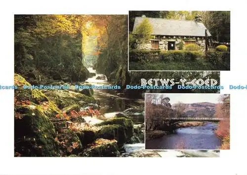 D187755 Betws y Coed. Caernarvonshire. The Fairy Glen. Das hässliche Haus. Waterloo