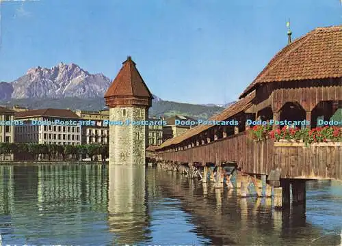 D190891 Nr. 2582. Luzern. Pilatus. Stehli