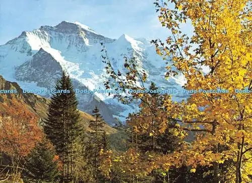 D190921 Nr. 2585. Jungfrau. Stehli