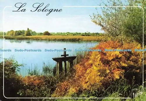 D189279 La Sologne. Etang al Automne. Valoire. Produktion Leconte. 1993