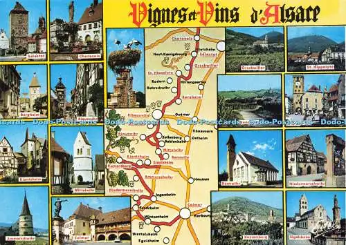 D191109 Vignes et Vins d Alsace. Chatenois. Selestat. Bergheim. Mittelwihr. Este