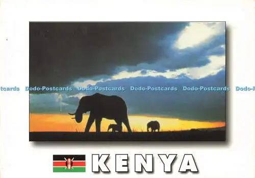 D189475 Kenia. Afrikanische Tierwelt. Elefanten. Mount Kenya Sundries Limited. J. Sco