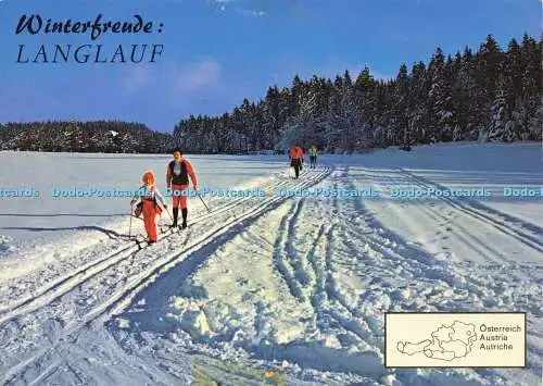 D191155 Winterfrende. Langlauf. Alpine Luftbild