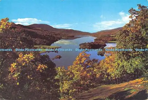 D191188 Loch Tummel. Queen View. White Heather. George Young