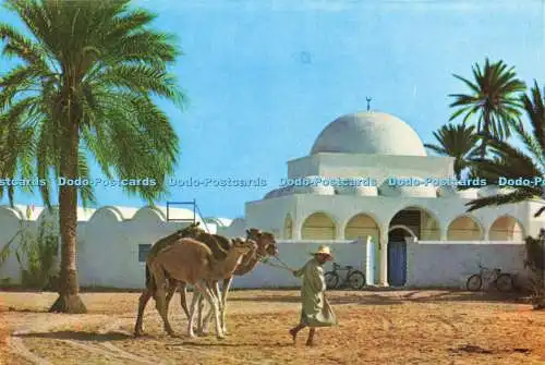 D189534 Jerba. La Mosquee de Mahboubine. Kahia