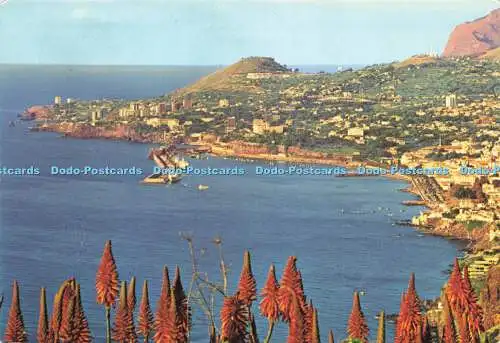 D191230 Funchal. Madeira. Western View. Francisco Ribeiro