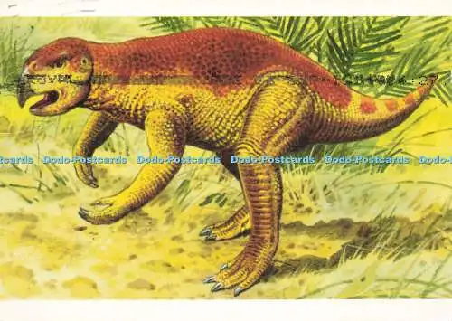 D191308 Psittacosaurus. Orbis Verlag. Dinosaurier Buch