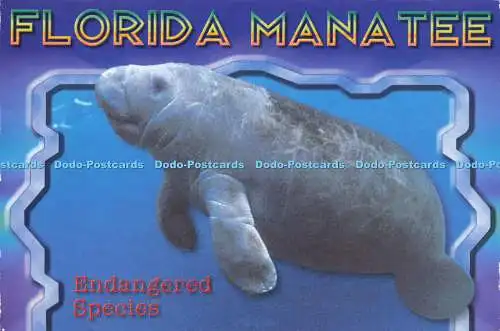 D191445 Florida Seekuh. gefährdeten Arten. Südstaatenkarte und Neuheit. Larry Li