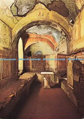 D191601 Catacomba di Priscilla. Cappella Greca. Sek. III. L. Salomone