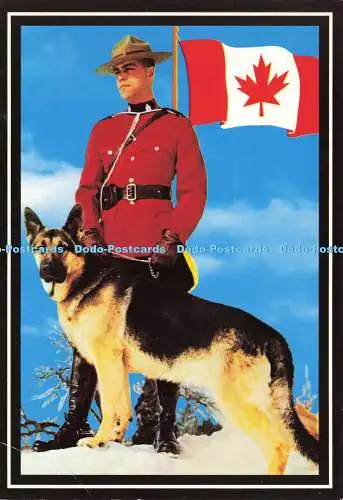 D191687 Royal Canadian berittener Polizist mit Hund. Lakeside Colour Productions.