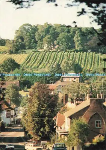 D191706 Lamberhurst Vineyards. Ridge Farm. Richter. C 9466 X.R.H. Finch. 1987