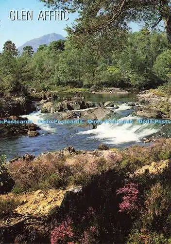 D191748 Glen Affric. Innes und Cromb. Ernest J. Cooke