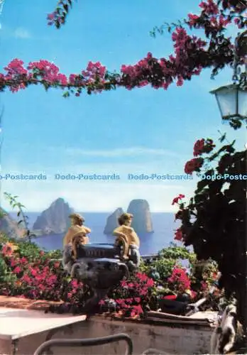 D191958 Capri. Wunderschöne Aussicht von einer Terrasse. Fotocolor. Alterocca Terni