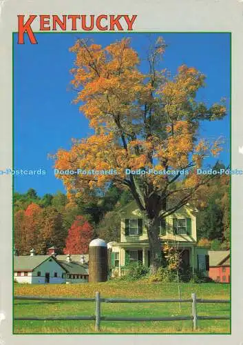 D1993 Kentucky. Herbst auf dem Bauernhof. Kentucky Souvenirs Verkauf. James Blank