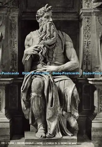 D191996 Roma. Michelangelo. Mose. Chiesa di S. Pietro in Vincoli. E. Richter. RP